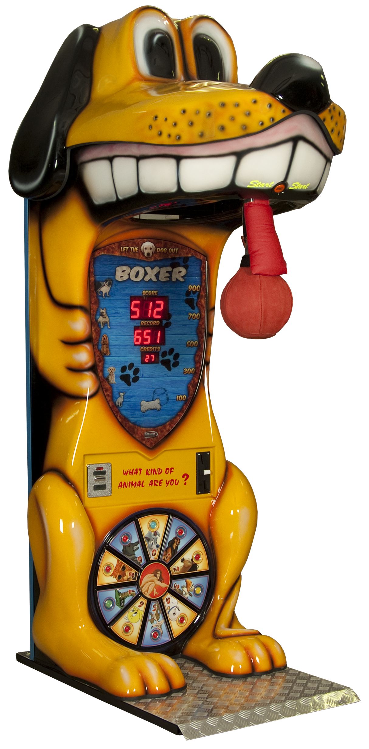 Boxer Dog