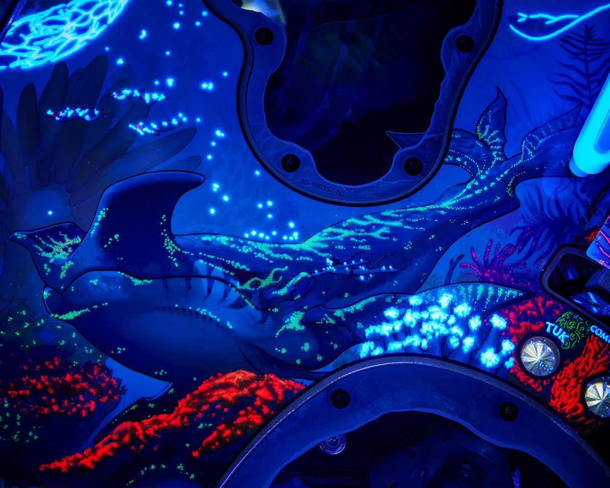 Avatar : La Bataille pour Pandora Édition Collector de Flipper